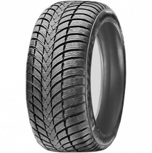 Triangle TW421 EffeXWinter XL 245/45 R19 102V 